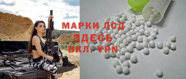 ПСИЛОЦИБИНОВЫЕ ГРИБЫ Кукмор