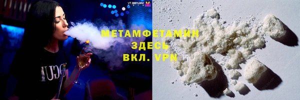 прущие грибы Кулебаки