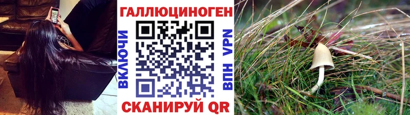 Псилоцибиновые грибы GOLDEN TEACHER Артёмовский